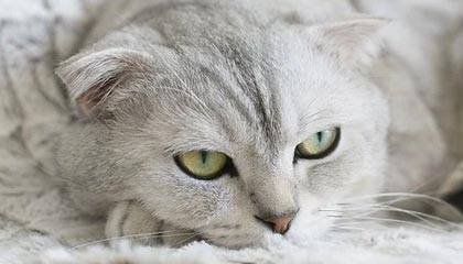 半岛体育：把热爱变成日常的力量