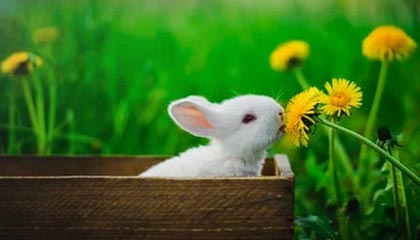 hth：健康、家庭、和谐的生活密码